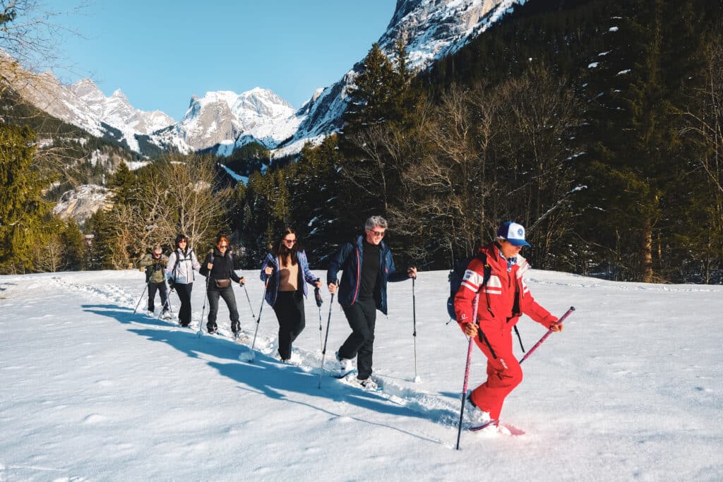 Territoire naturel grandiose en raquettes