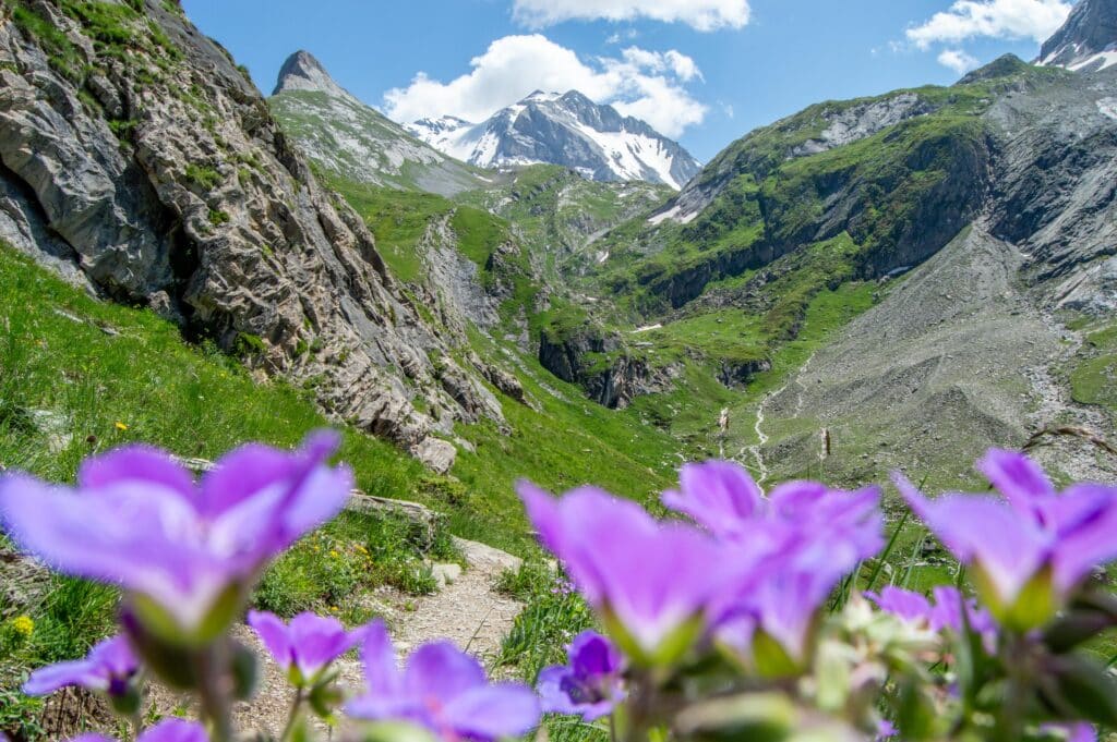 Destination de montagne authentique au pied de la Grande Casse