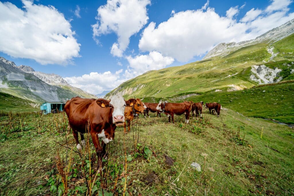 Village station de montagne